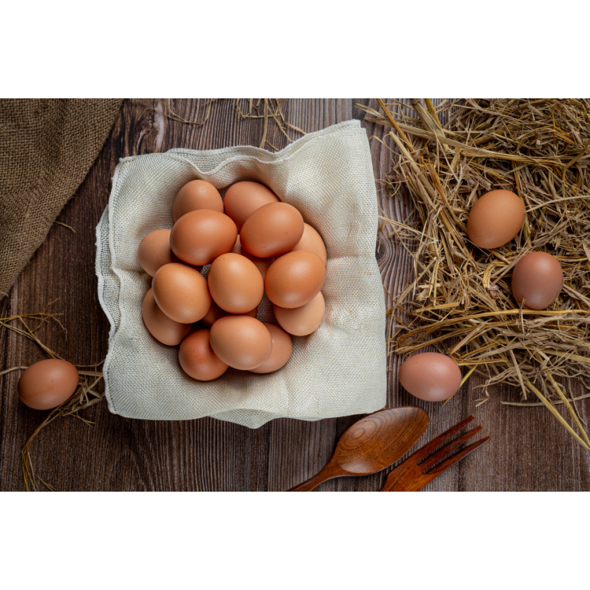 

TELUR AYAM NEGERI TERNAK PRIBADI DENGAN PAKAN SEMI ORGANIK FRESH BARU TIAP HARI EGG INHSHOP INH SHOP