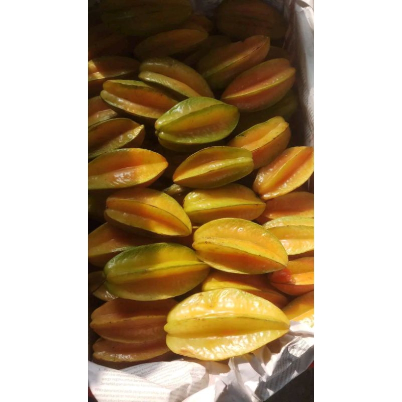 

belimbing buah blimbing 1 kg
