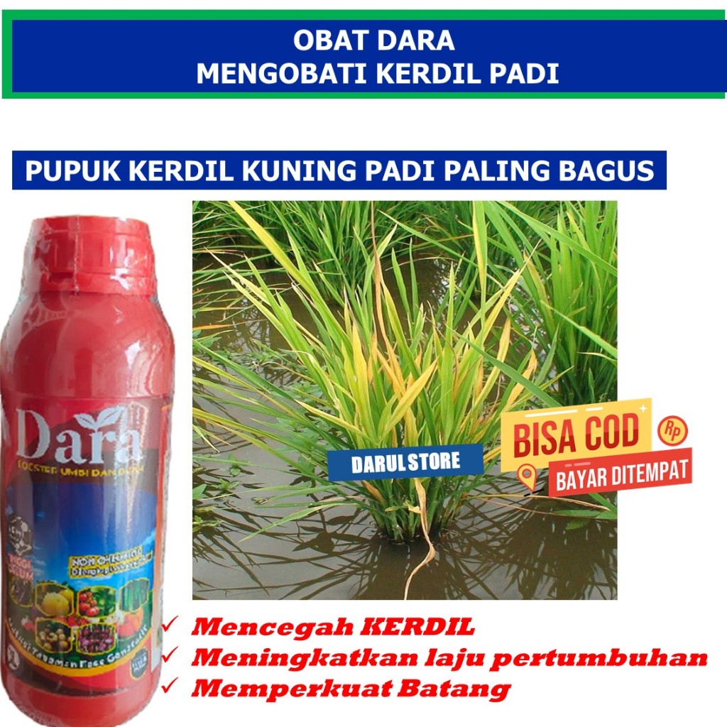 Pupuk DARA Mengobati Kerdil Padi Sampe Tuntas isi 500 Ml Obat Cair Pertumbuhan Bunga Memperbanyak Da