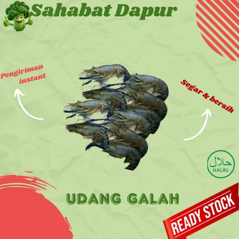

Udang galah - seafood fresh - Sahabat Dapur Delivery
