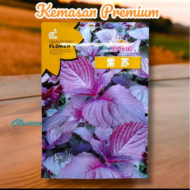 (KEMASAN PREMIUM)BIJI/BENIH TANAMAN SHISO PERILLA