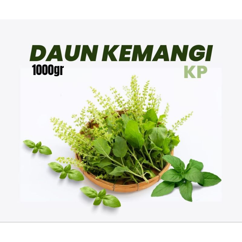 

daun kemangi 1kg kp