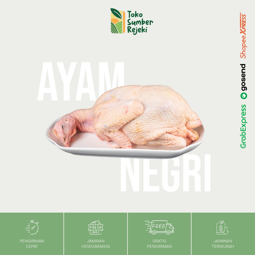 

Ayam Negri Utuh 1 Ekor Segar - Toko Sumber Rejeki Yogyakarta