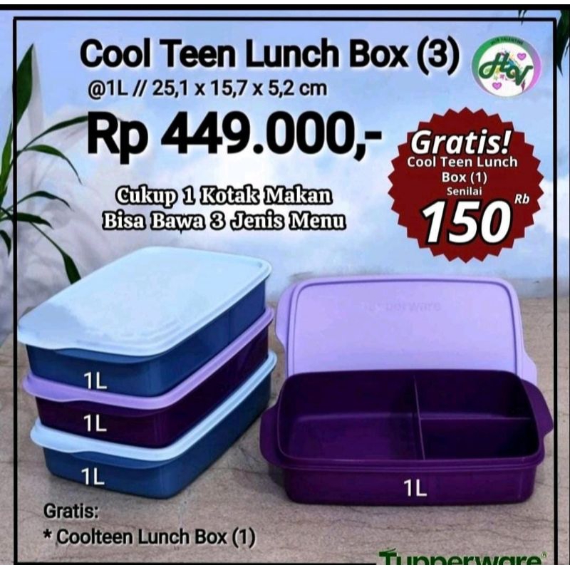 COOL TEEN LUNCH BOX TUPPERWARE 1 L