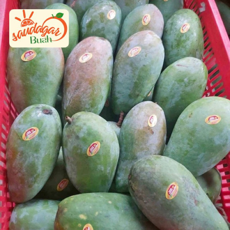 

BUAH MANGGA THAILAND / MANGGA KIOJAY MENGKEL GARING 1KG