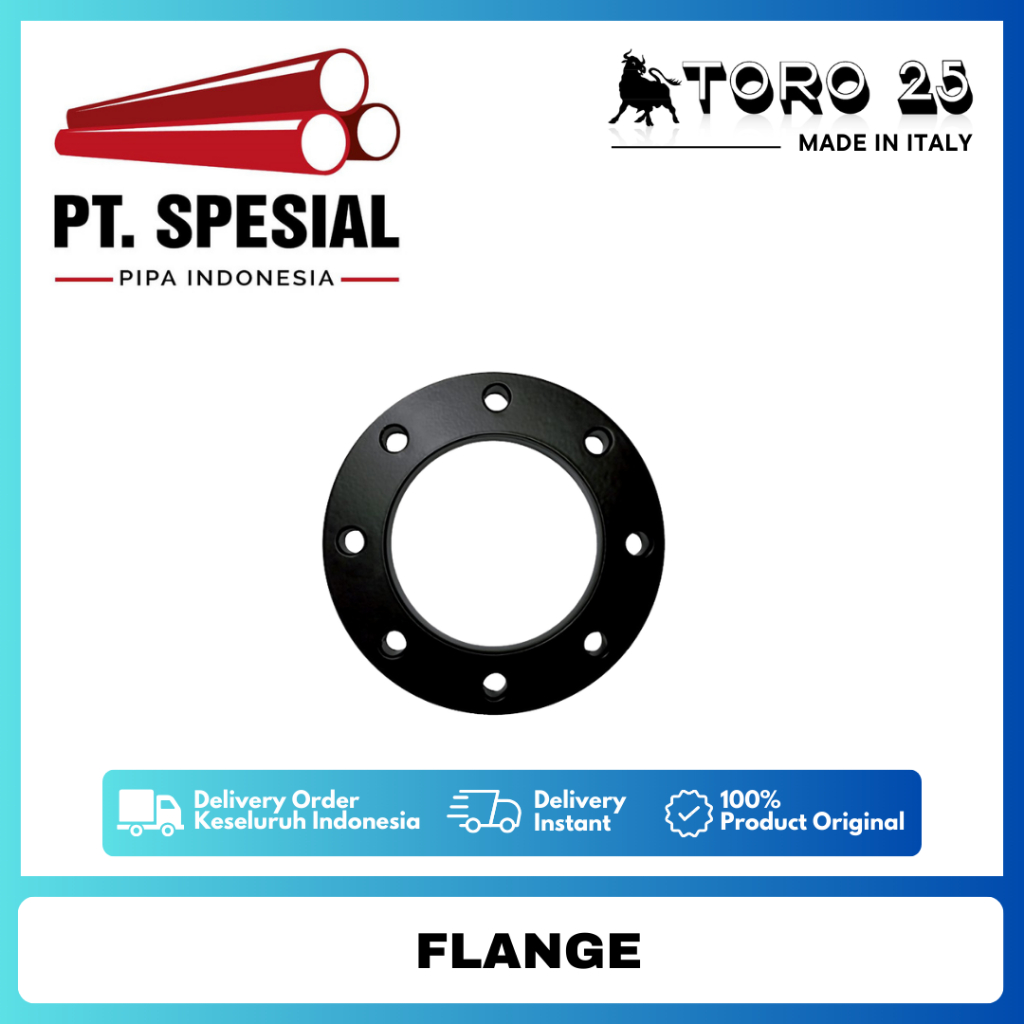 Flange PPR Toro DN250 / Flange PPR Toro - 05