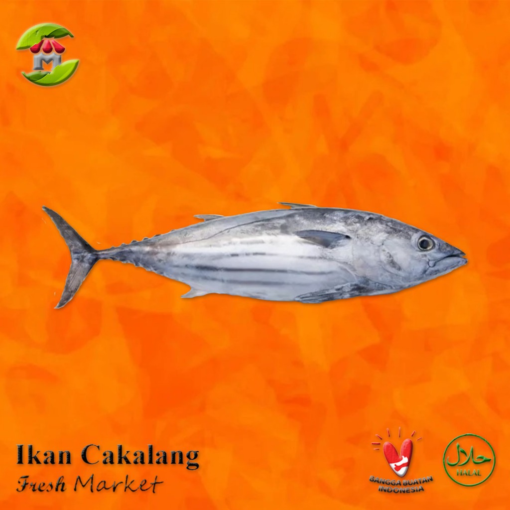

[Bintaro] Ikan Cakalang Pack 900gr - 1kg