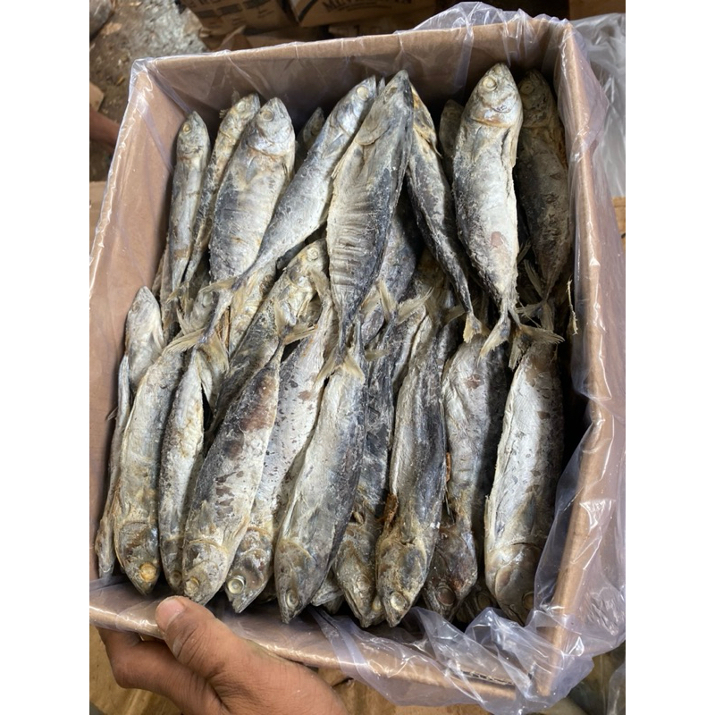 

ikan asin tongkol bulat /tongkol utuh grade A= 250g/500g/1kg best seller