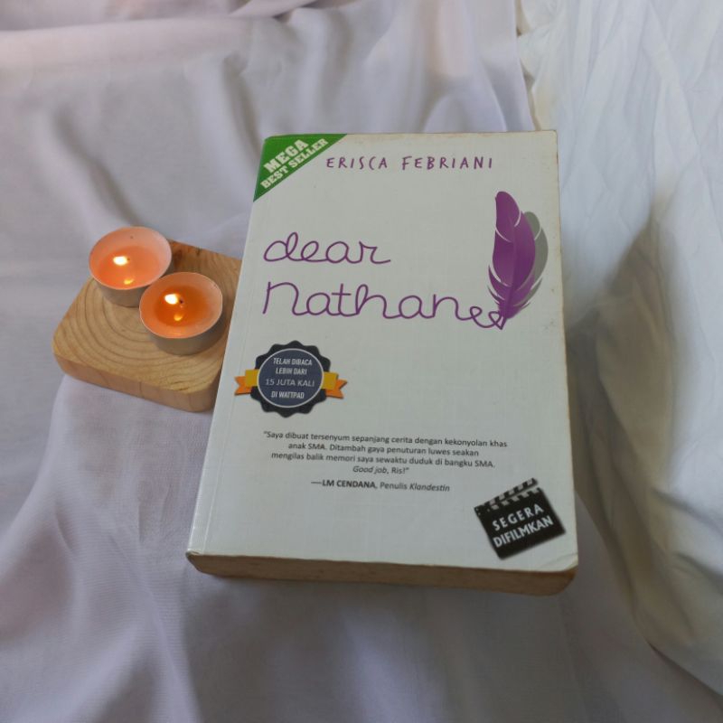 

Novel Preloved Dear Nathan - Erisca Febriani