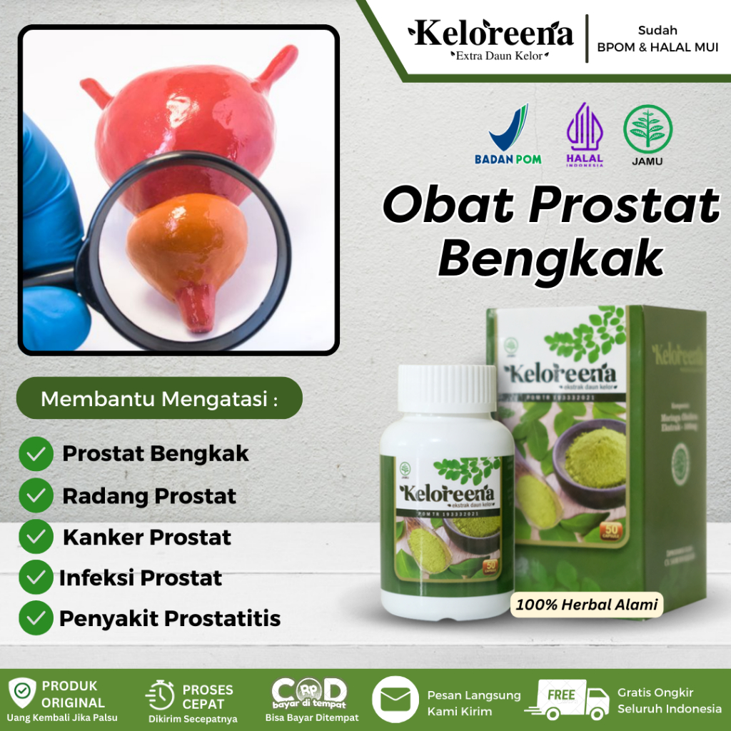 Keloreena Kapsul - Untuk Prostat Bengkak, Radang Kelenjar Prostat, Kanker Prostat, Prostat Sakit, In