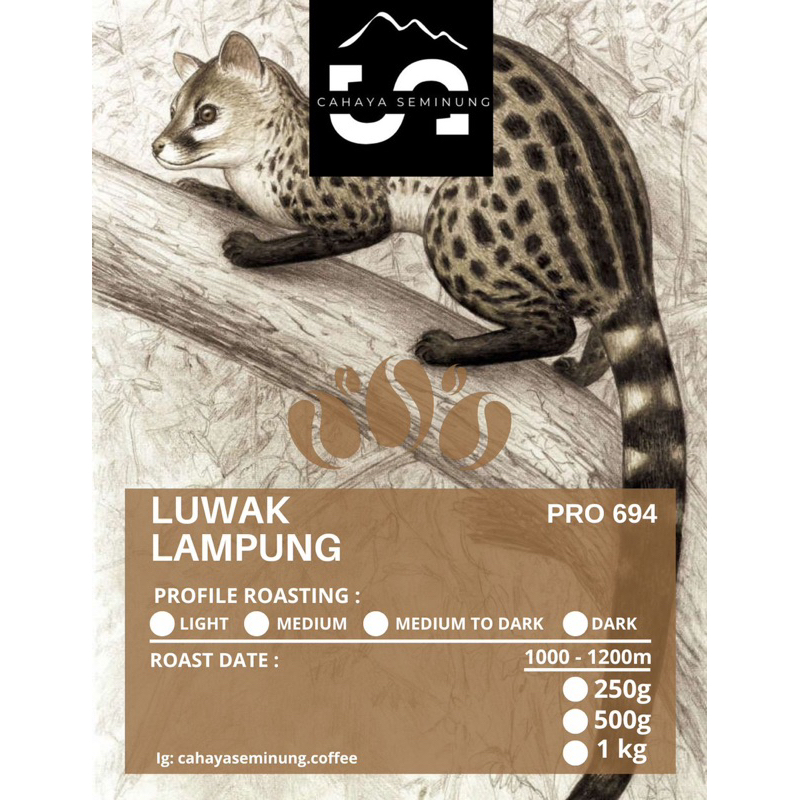 

KOPI LUWAK LAMPUNG