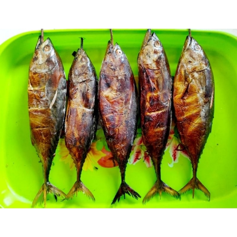 

Asapan ikan tongkol jumbo murah meriah 15rb 1 biji