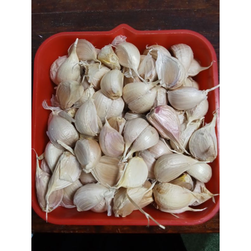 

Bawang Putih Kating 1 Kg