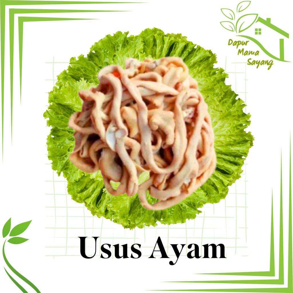 

Usus Ayam Segar/ayam potong jeroan ayam/ayam horen/ayam murah seindonesia
