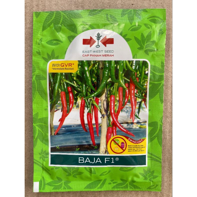 Benih Cabe Besar BAJA F1 isi 1.500 Butir