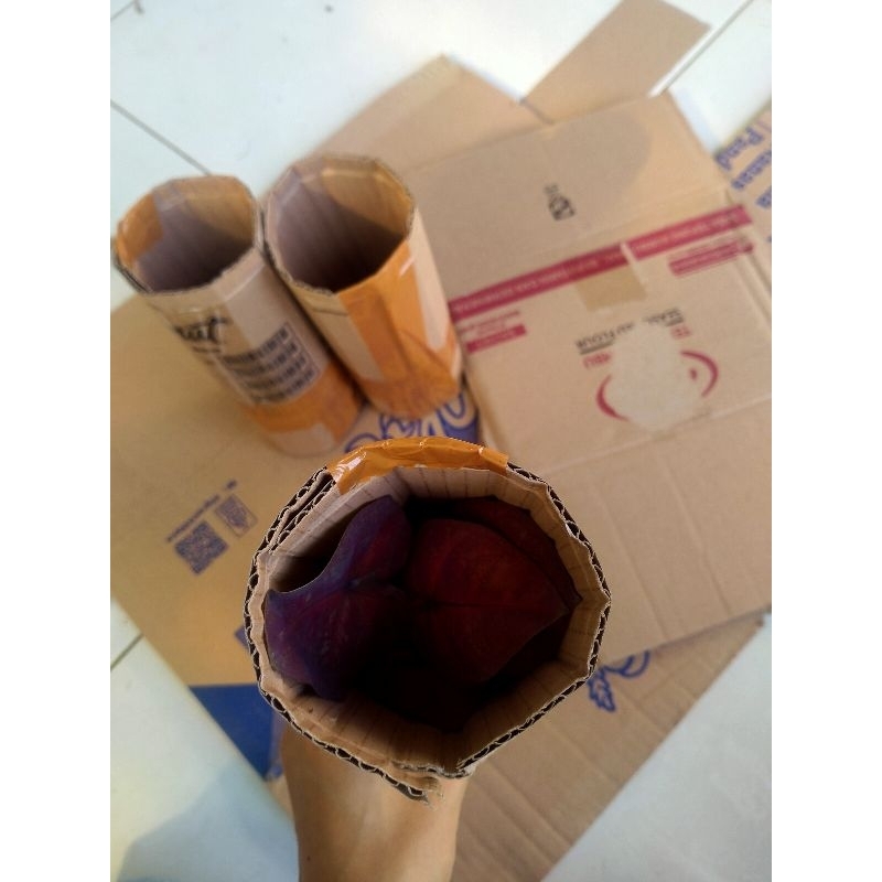 

DUS packing tambahan pengaman produk