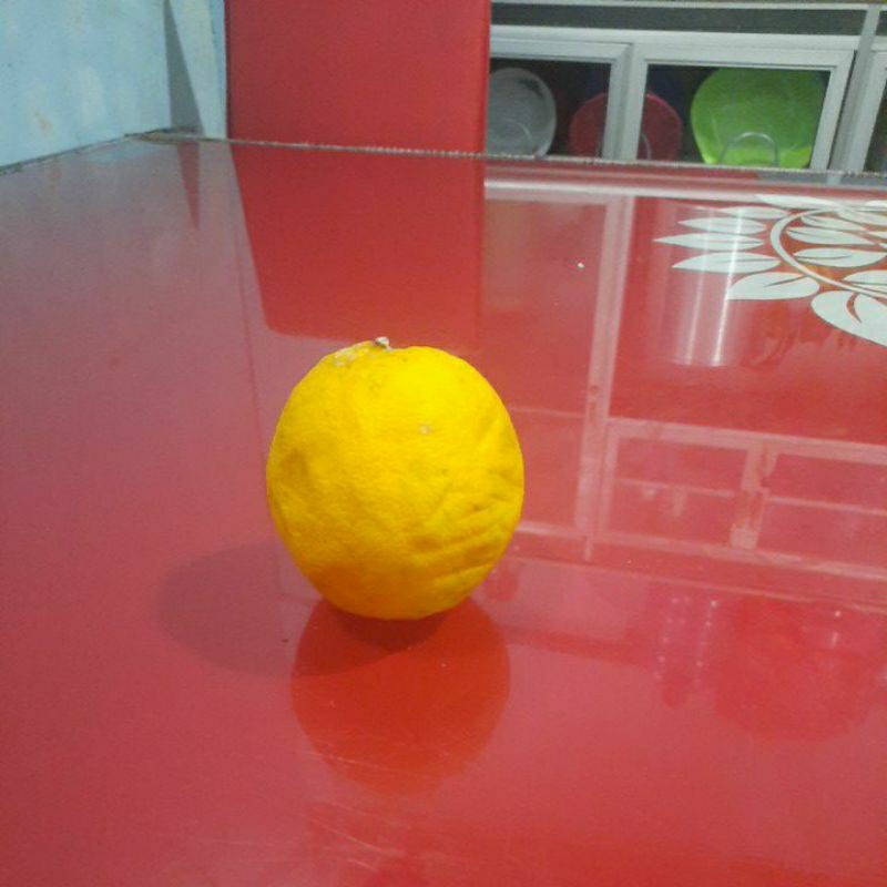 

jeruk lemon
