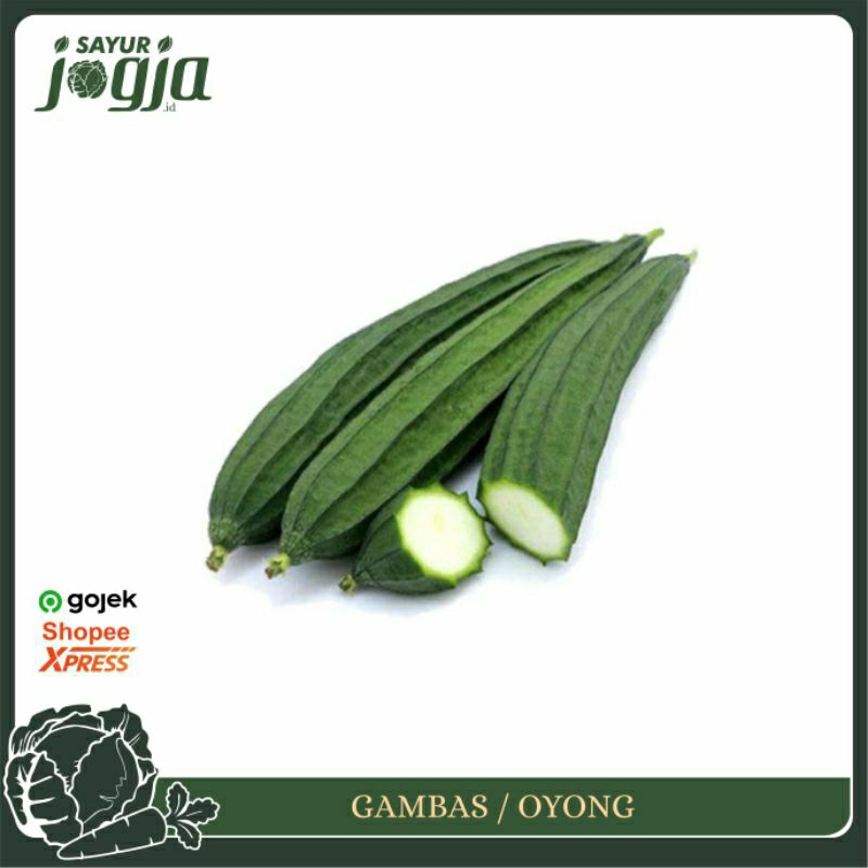 

Oyong / Gambas ± 300g