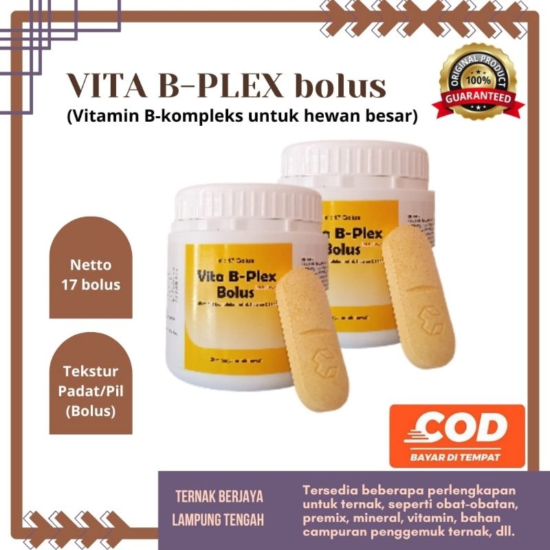 VITA B-Plex Bolus