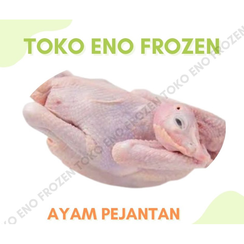 

AYAM PEJANTAN LAYER - SUDAH BERSIH TANPA JEROAN - AYAM PEJANTAN FROZEN - AYAM PEJANTAN ORGANIK- AYAM PEJANTAN HALAL - AYAM FROZEN SEGAR - BAHAN BAKU FROZEN - TOKO ENO FROZEN