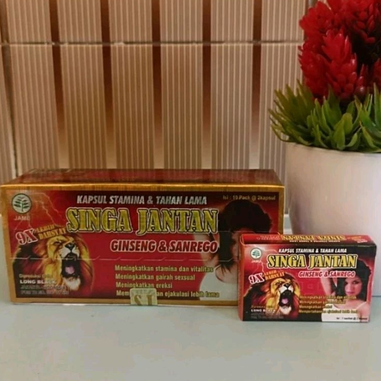 Kapsul Singa jantan original