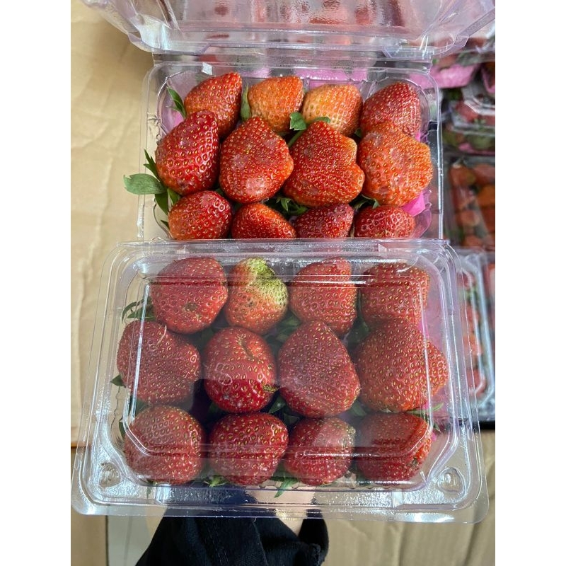 

Strawberry kemasan kecil
