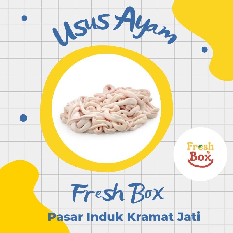 

Fresh Box Usus Ayam Segar 500 gram