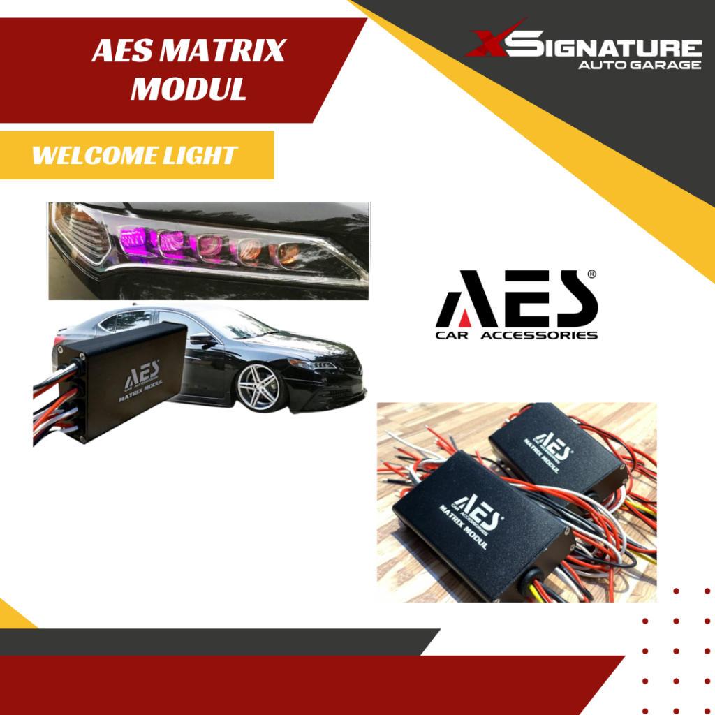 AES MODUL MATRIX - WELCOME LIGHT