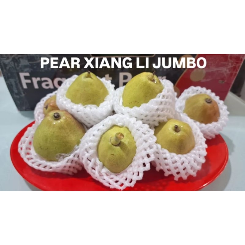 

PEAR XIANG LI JUMBO (1 KG)
