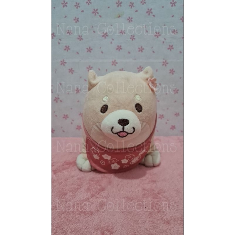 SHIBA SK JAPAN SAKURA EDITION