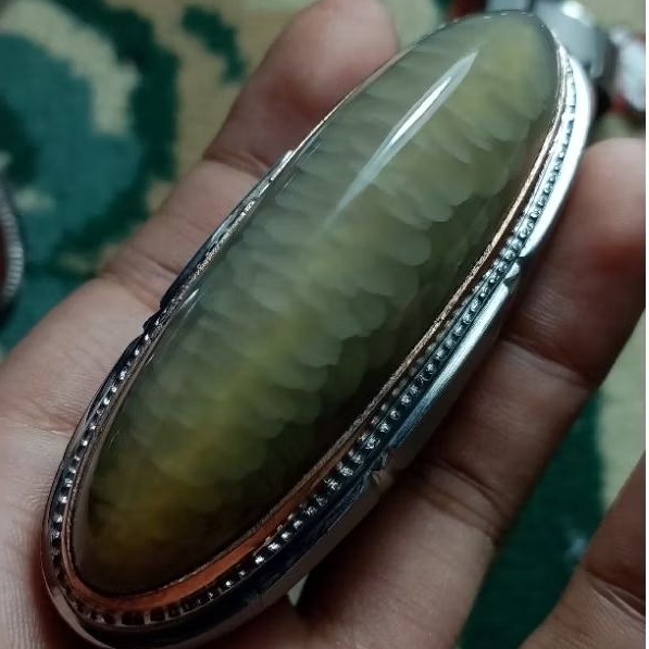 Cincin Batu Pandan Nanas Semu Rudal Betoker