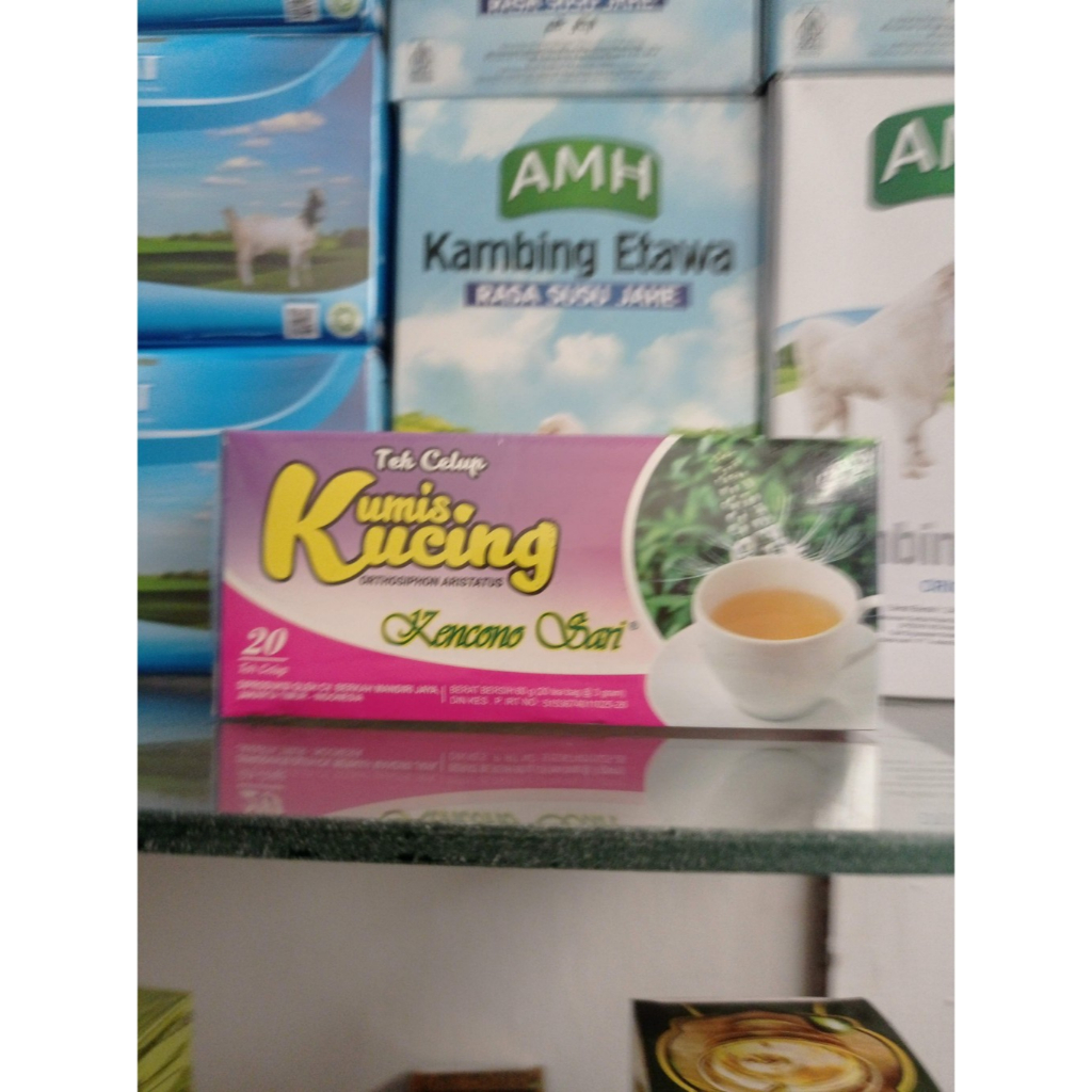 

TEH DAUN KUMIS KUCING/OBAT SALURAN KEMIH/KENCING BATU
