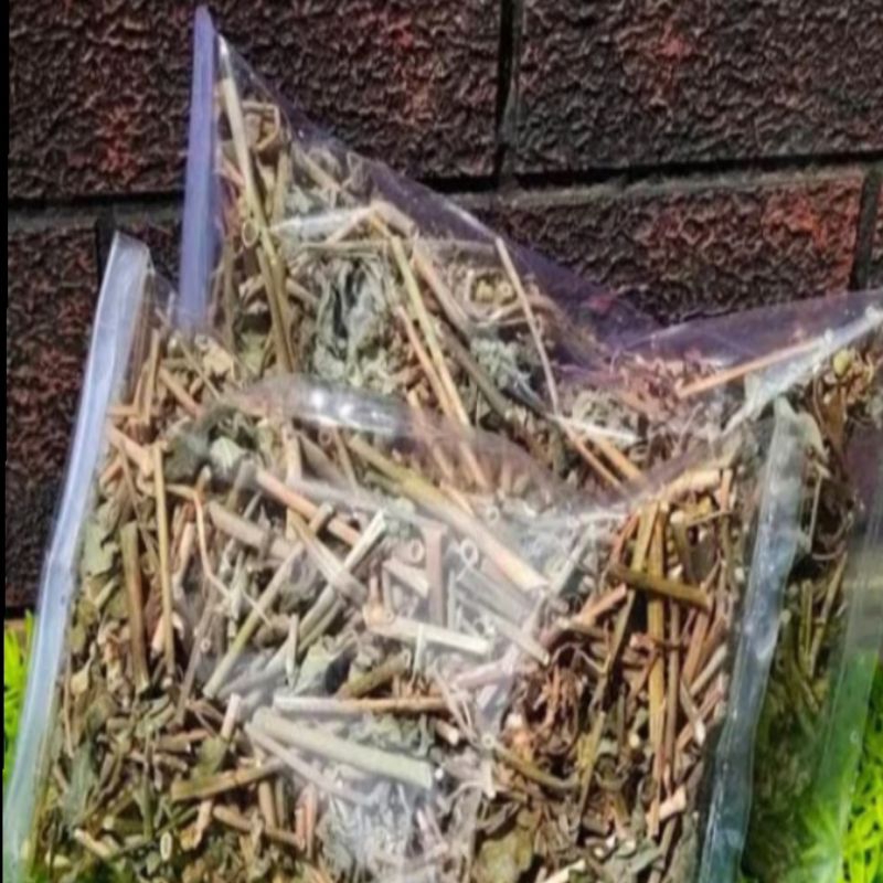 

200 Gram Daun Kate mas kering , Katemas , patik mas , suduk mentul kering,sena( herbal pencuci perut ), tanaman herbal , Katemas kering , daun suduk mentul , daun kasroli , daun pencuci perut