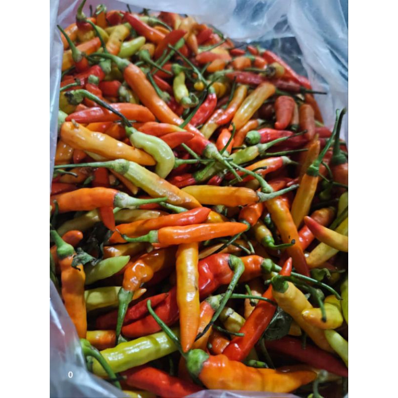 

cabe rawit merah