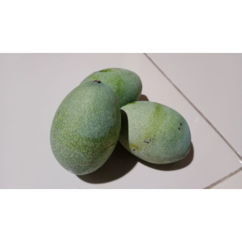 

Mangga