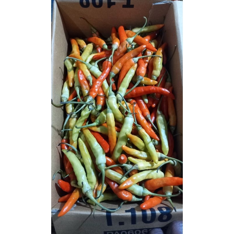 

cabe rawit merah 1kg