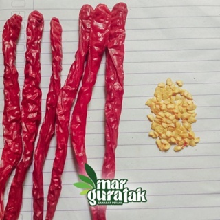 BIBIT CABE MERAH LOKAL BATUGARUT -15gr