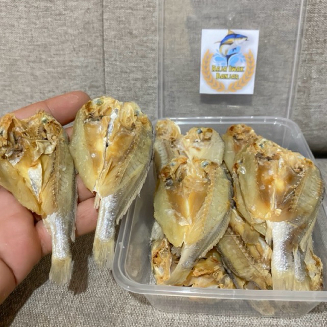 

Ikan Asin Kepala Batu Ikan Asin Belah Ikan Asin Murah 100gr
