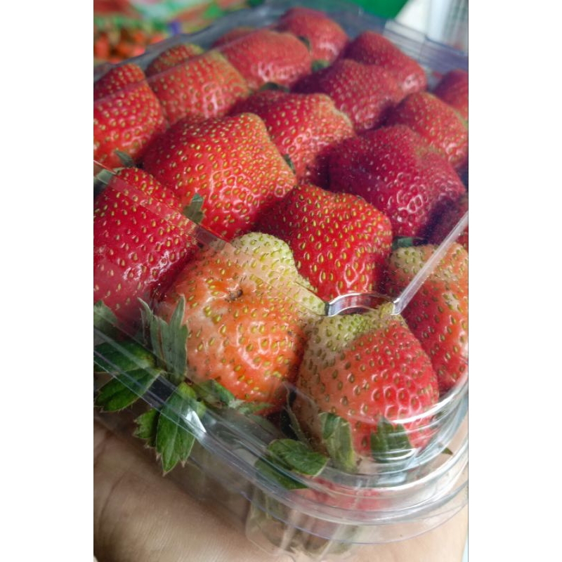 

Stroberi fresh ,grade AB:besar sedang ,berat .500gr / mika