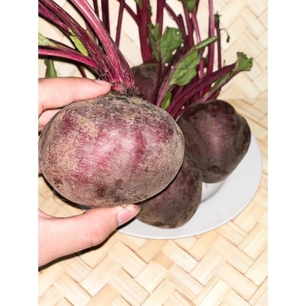 

BUAH BIT FRESH | BEET ROOT 1 KG