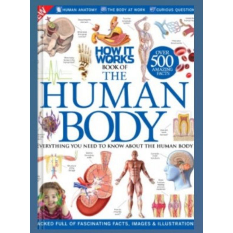 How It Works Book of the Human Body