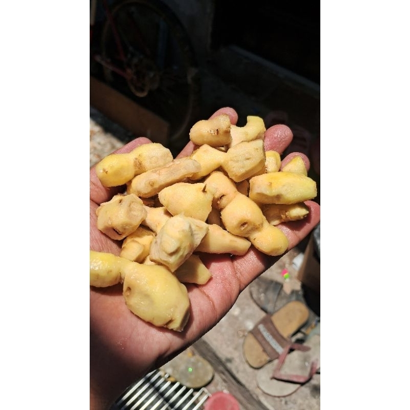 

jahe emprit kupas 1 kg cuci bersih