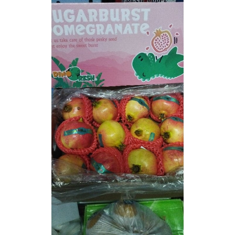 

sugarburst pomegranete dinofresh size 32/ biji