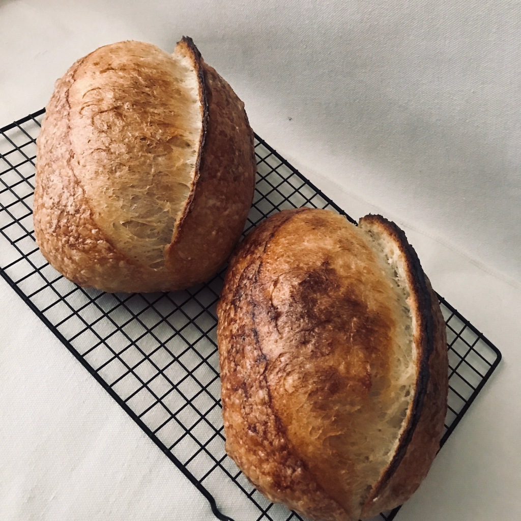 

Rustic Sourdough | Whole Wheat Sourdough | Soaked Oatmeal With Butter Sourdough