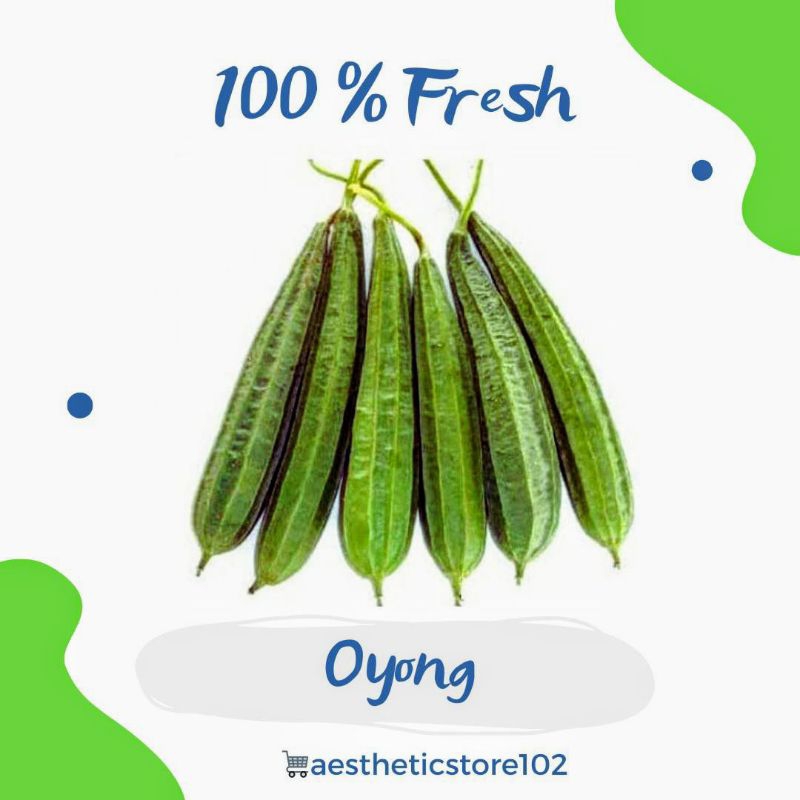 

Oyong Gambas 500 Gram Fresh