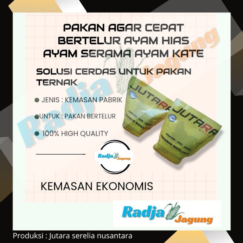 pakan ayam hias agar cepat bertelur makanan khusus ayam hias agar segera bertelur agar rajin dan pro