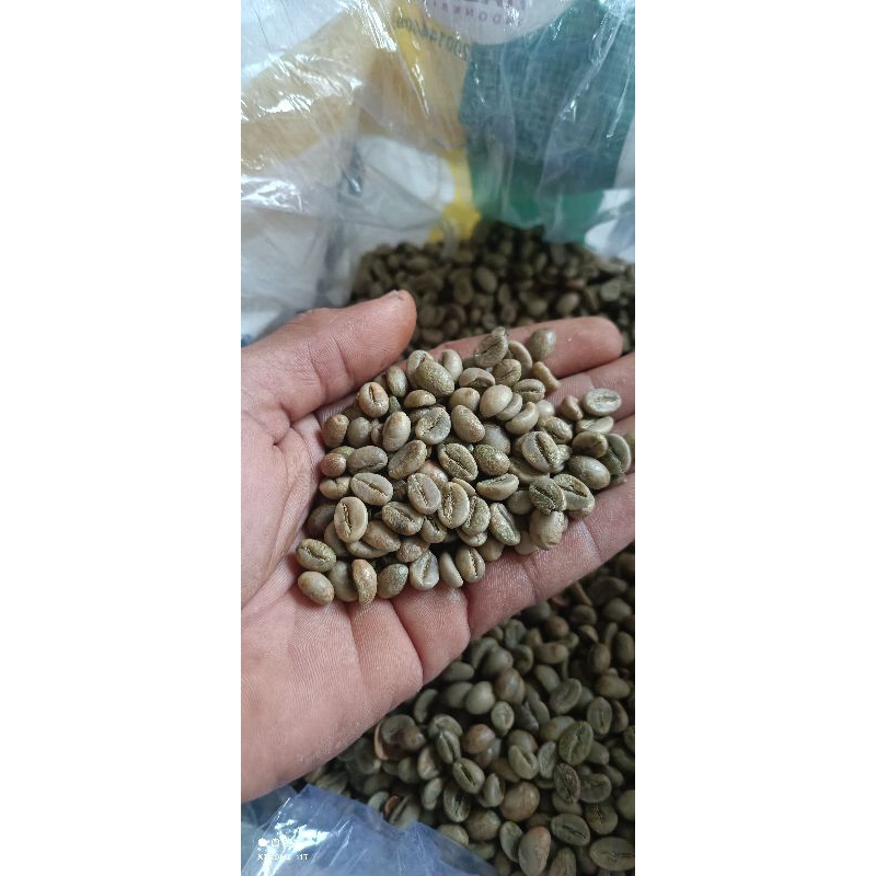 

green bean robusta arjuno grade 1. kemasan 1kg