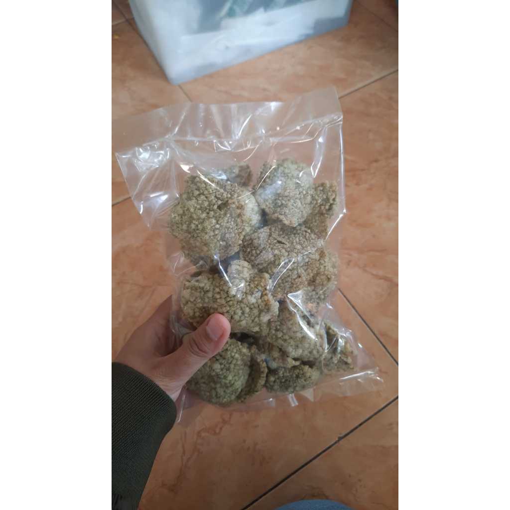 

Kripik Kelor