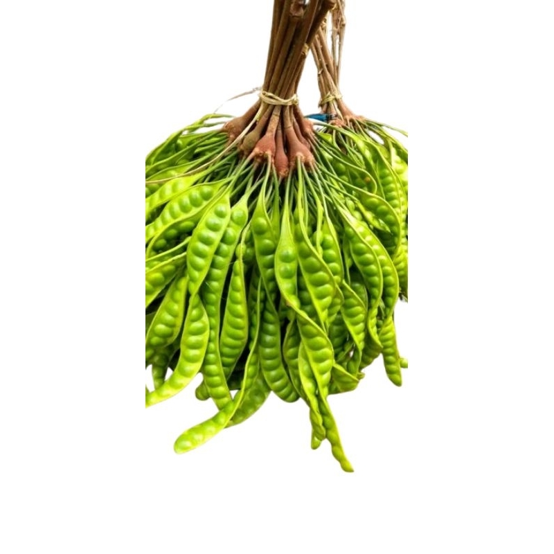 

11 PAPAN PETE PER PAPAN ISI 18 MATA