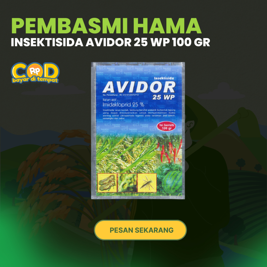 INSEKTISIDA AVIDOR 25 WP 100 GR PEMBASMI CABUK mengendalikan hama wereng coklat, cabuk pada tanaman 